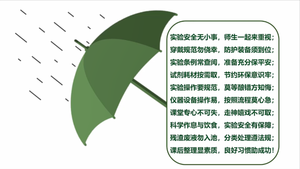 image-20241219112507-1